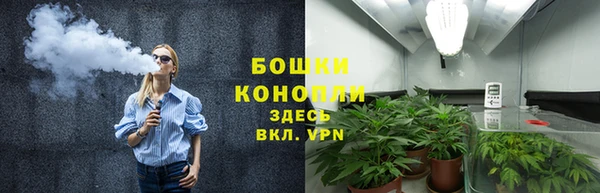 стафф Белая Холуница