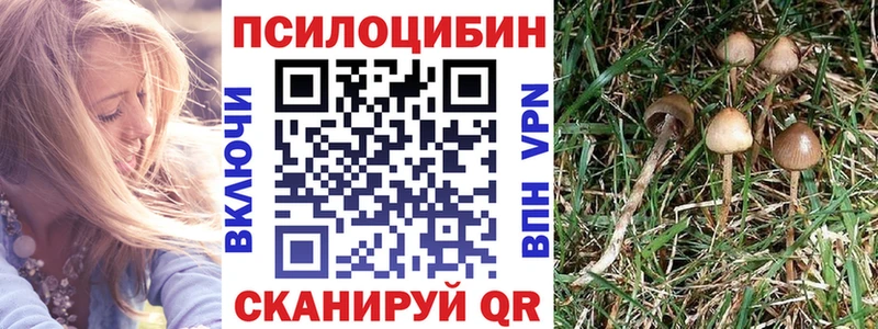 Псилоцибиновые грибы Cubensis  Туймазы 