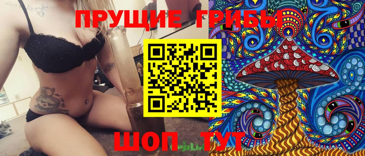 закладка  Туймазы  Псилоцибиновые грибы Psilocybe 